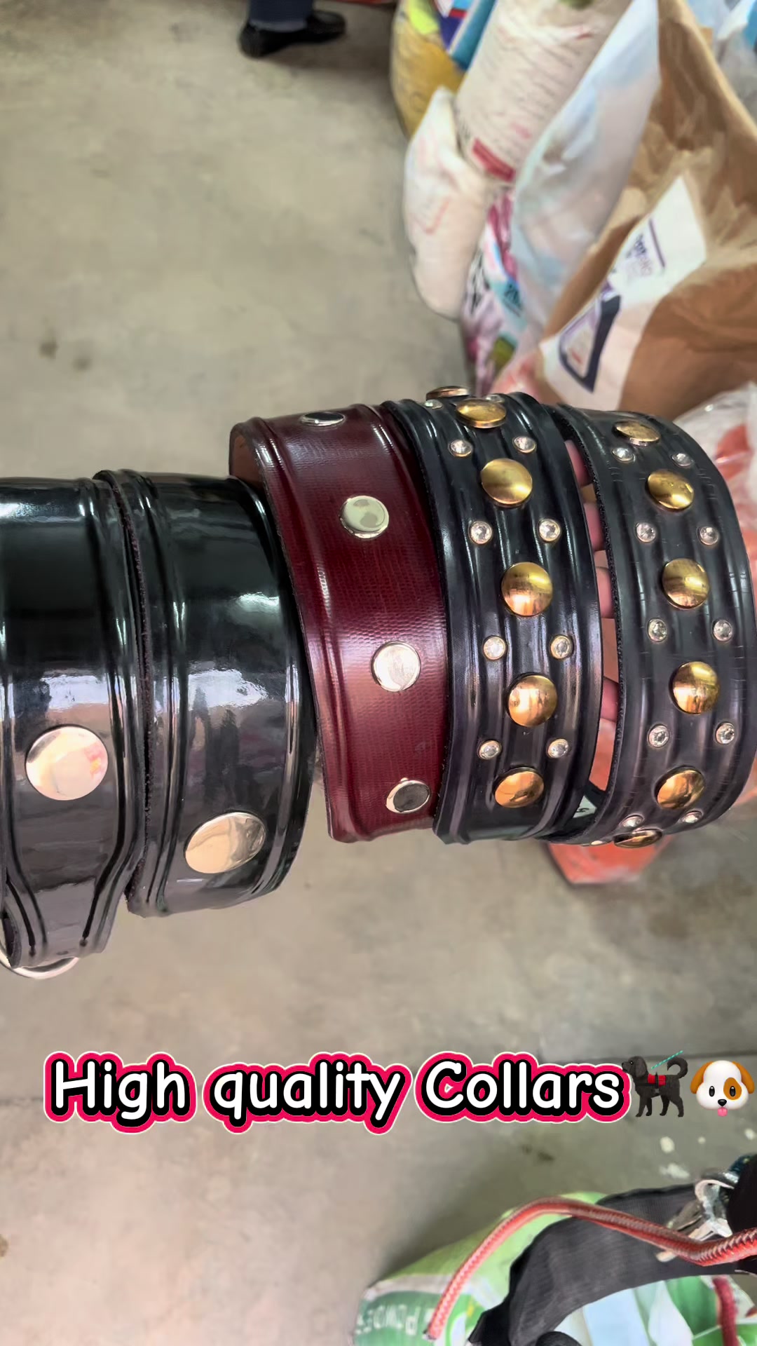 @Punjab Pet Store Chakwal