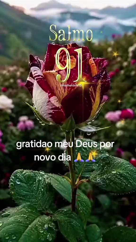 @Barbara Ribeiro