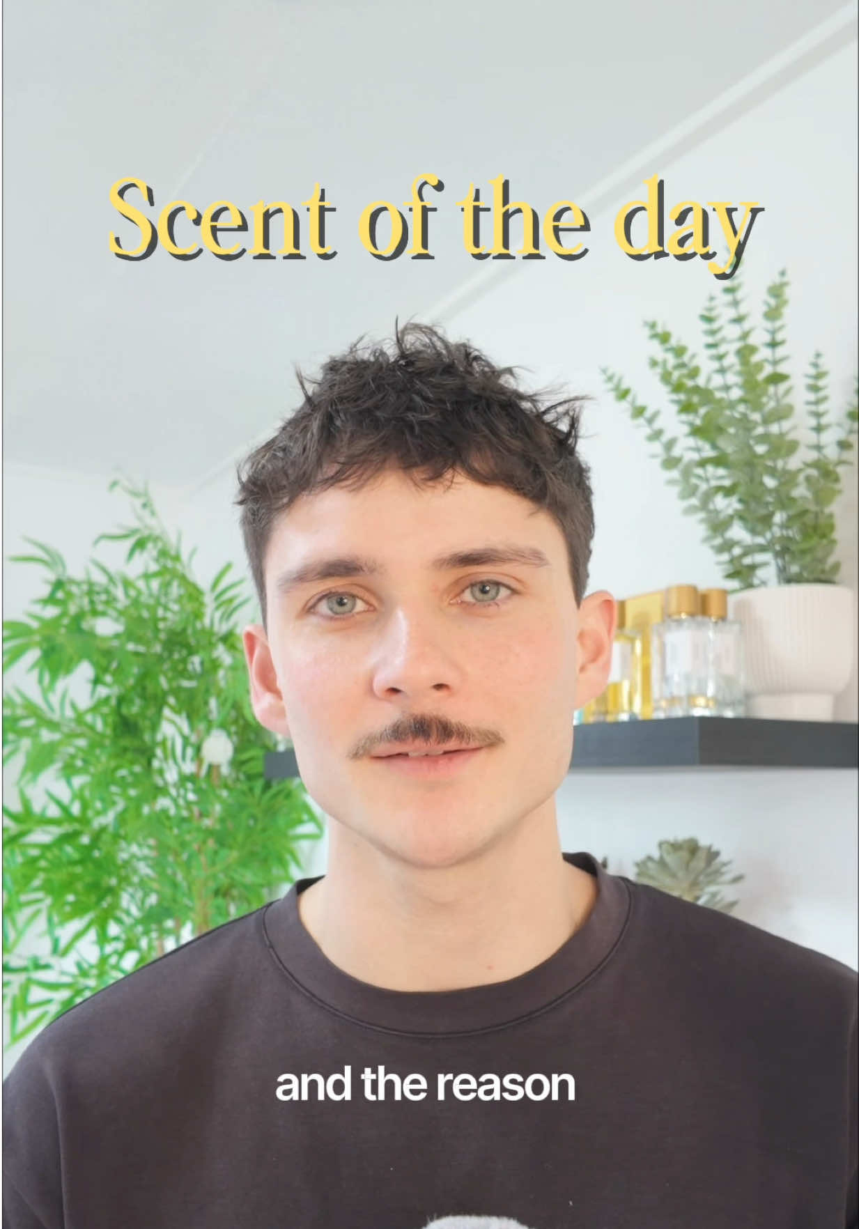 @Zen Scents⚡️