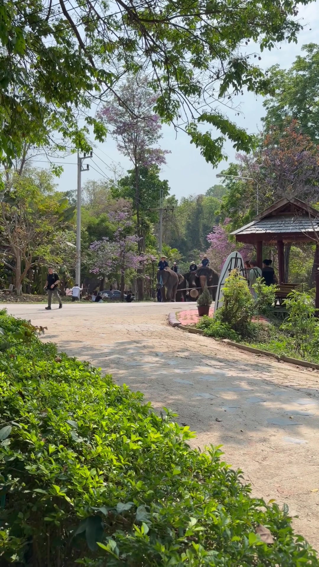 @Qvy Boonchanawiwat