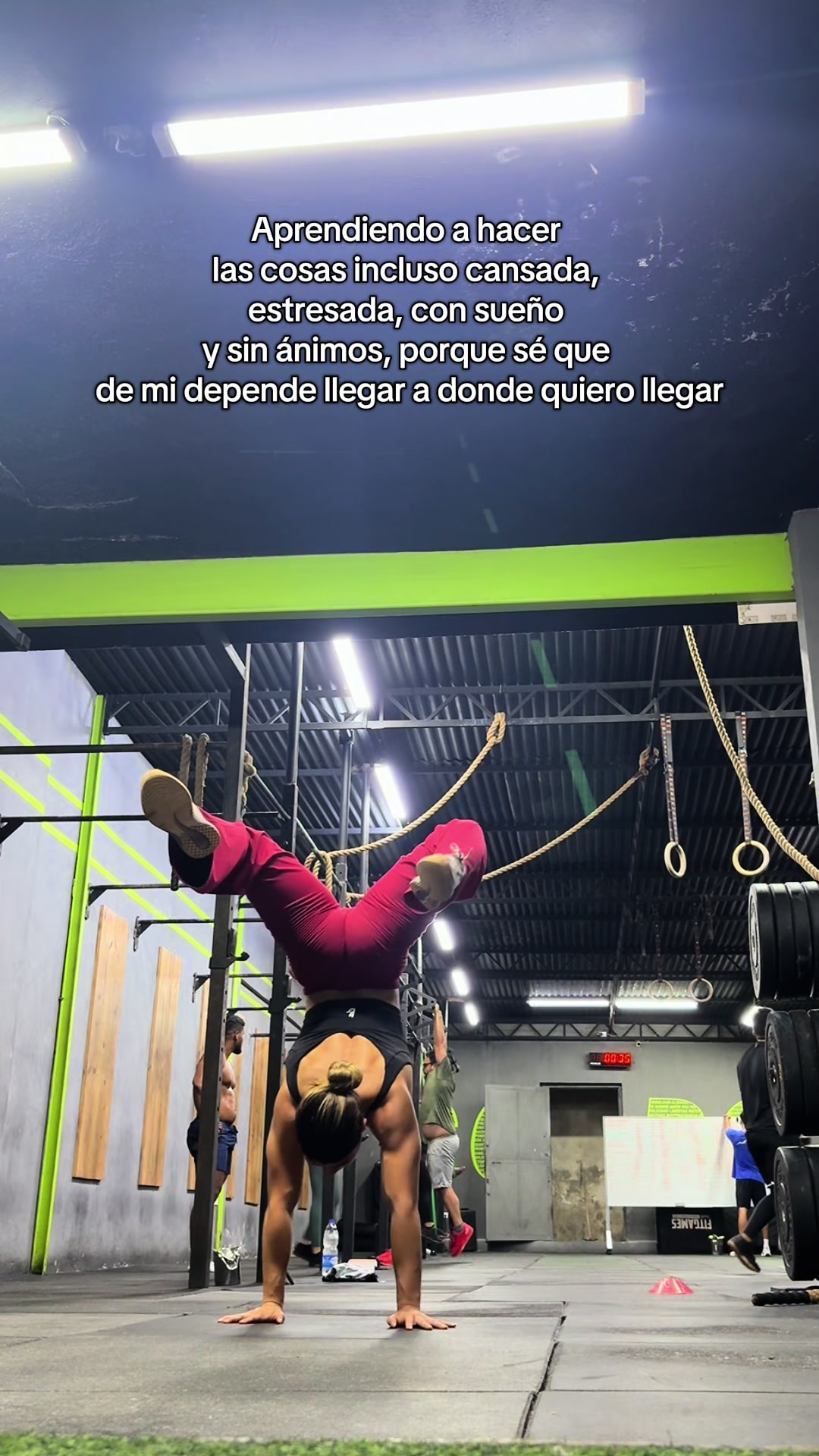 @Alejandra Urbano739