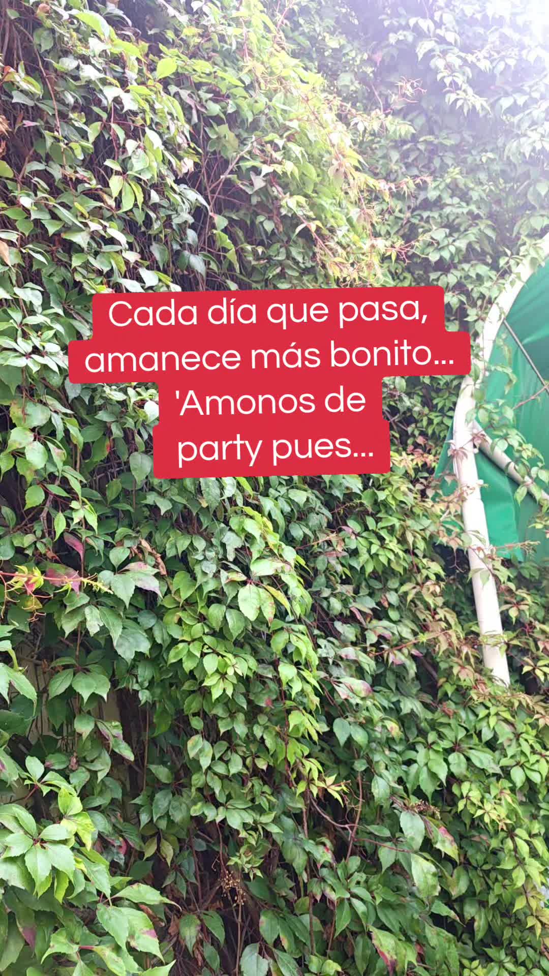 @Azul Buendía