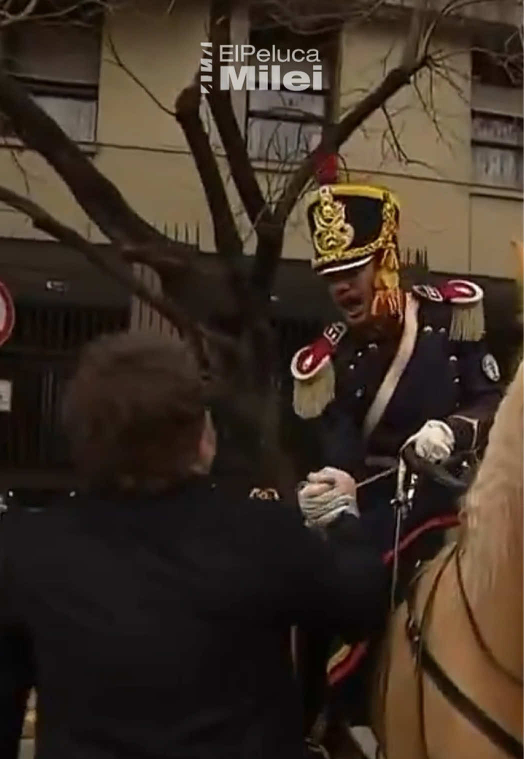 @El Peluca Milei