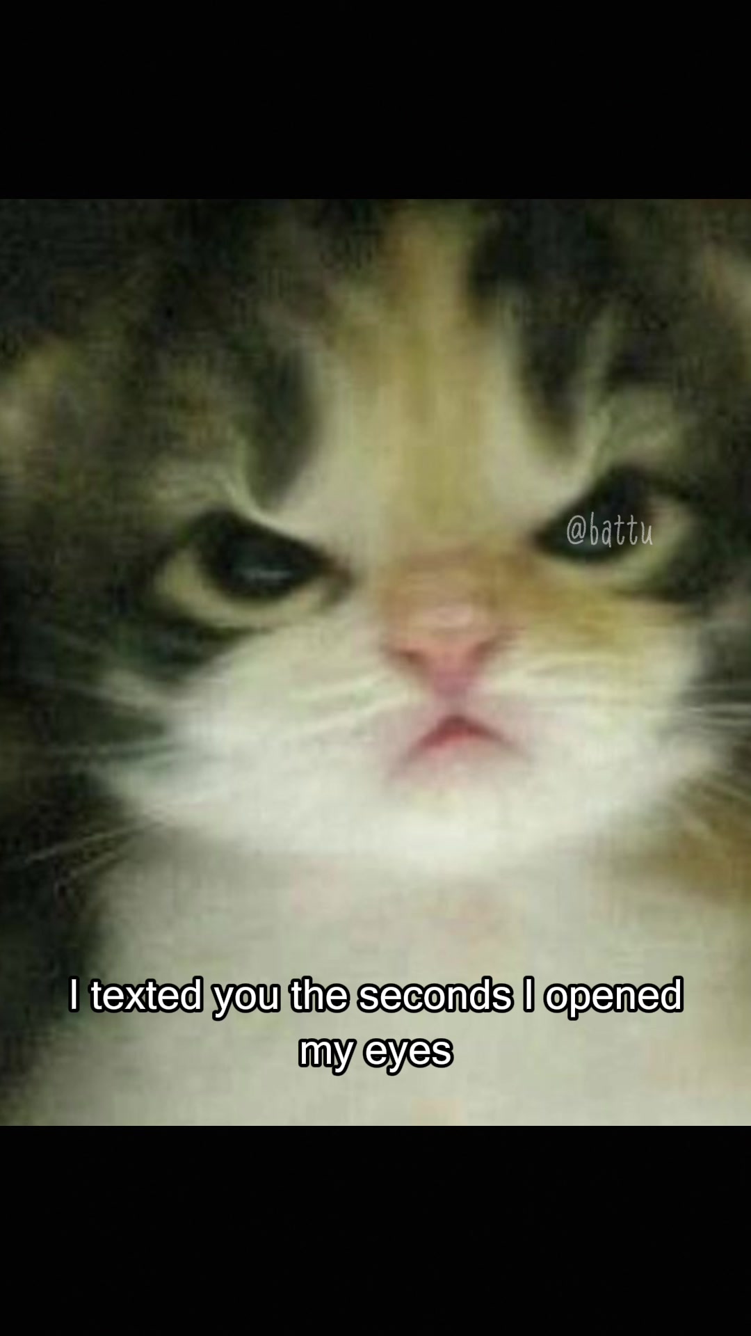 @Battu