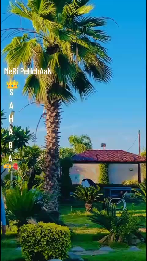 @⚜️𝕊𝕂_𝕪𝕆𝕦𝕊𝕒𝔽𝕫𝔸𝕚⚜️