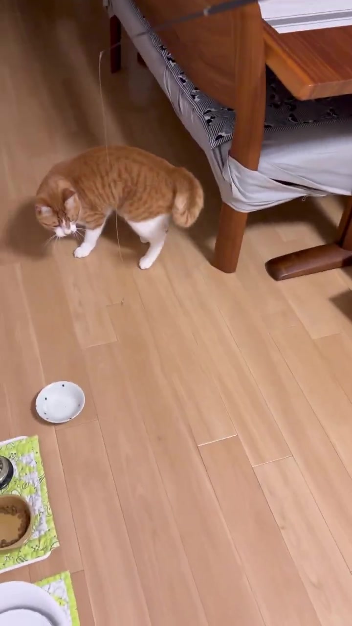 @玉次郎