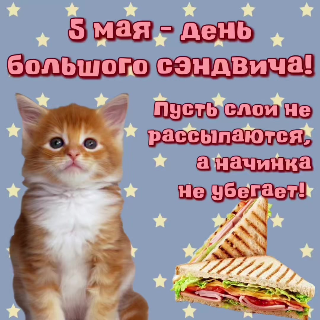@котики на каждый день