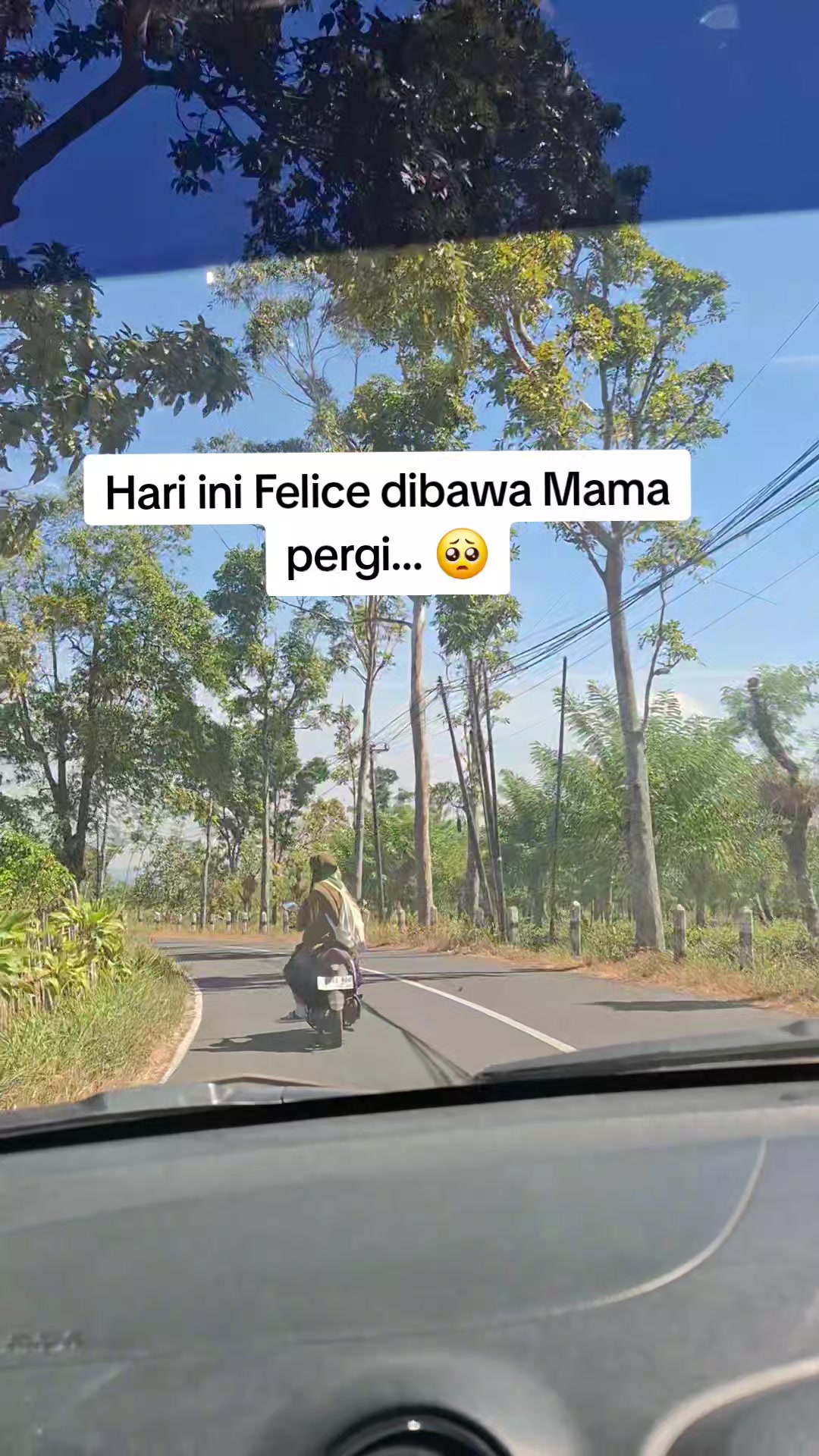 @Felice