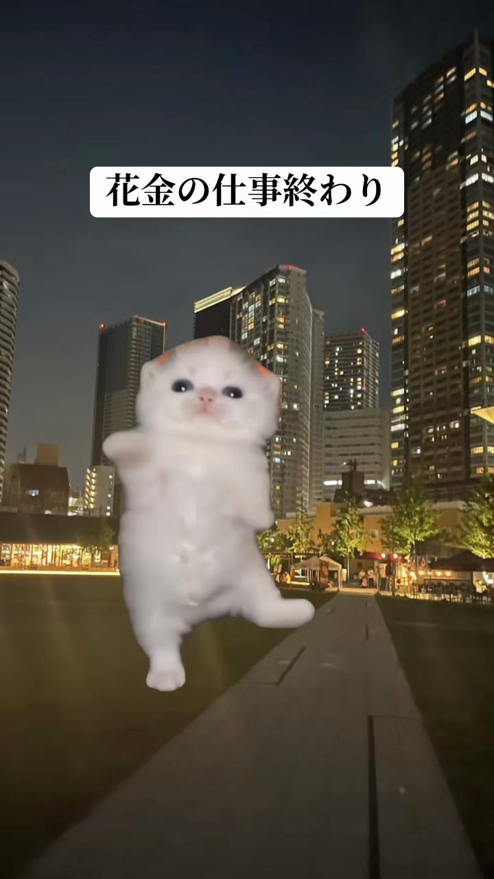 @面白ミーム