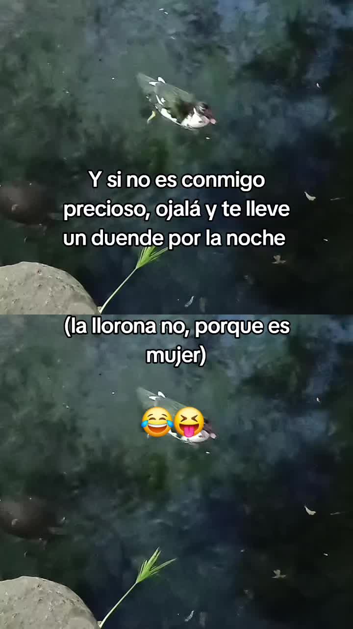 @💋🦈👑 REYNA 👑🦈💋🩷