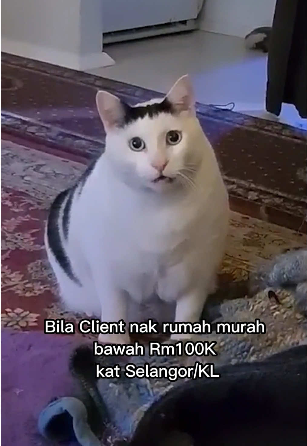 @Malaysia Property Team