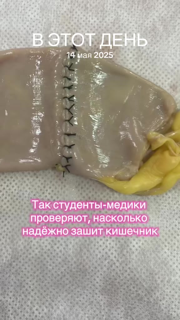 @Your future surgeon🐉