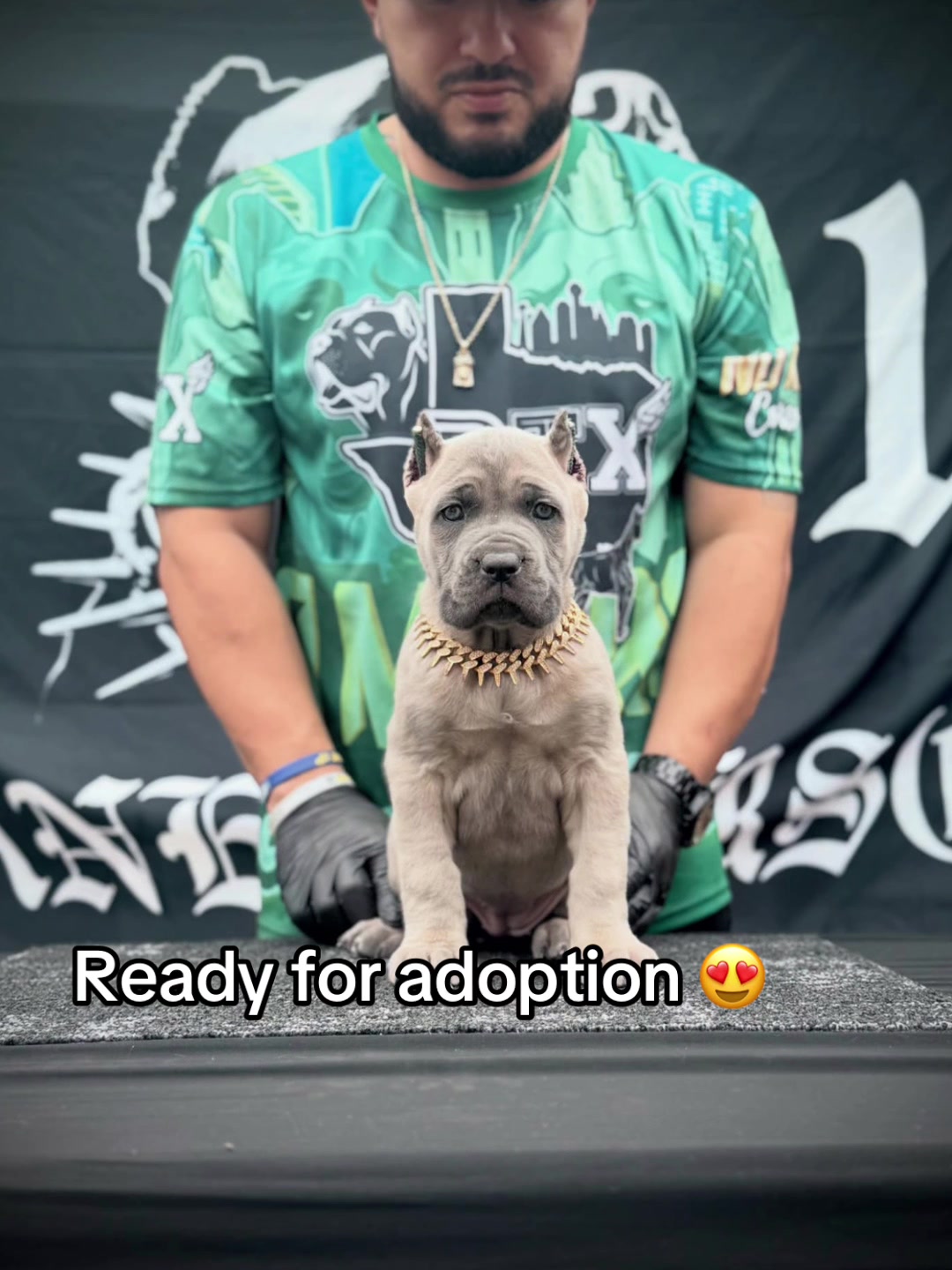 @CaneCorso