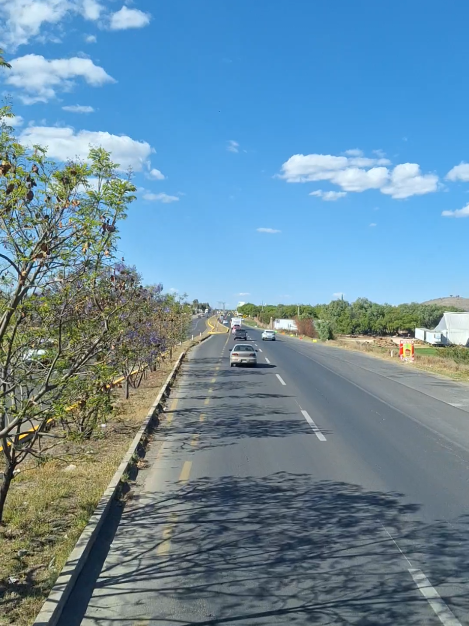 @Autobuses QRO