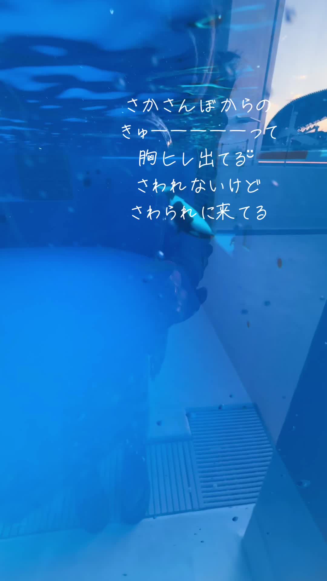 @LinLinco22
