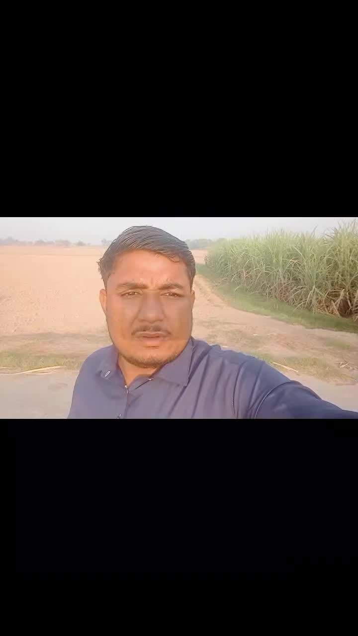 @salmanbrand33