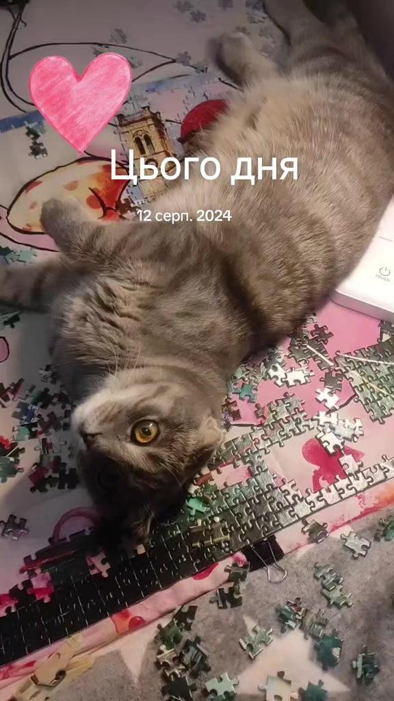 @Антоніна💙💛🇺🇦