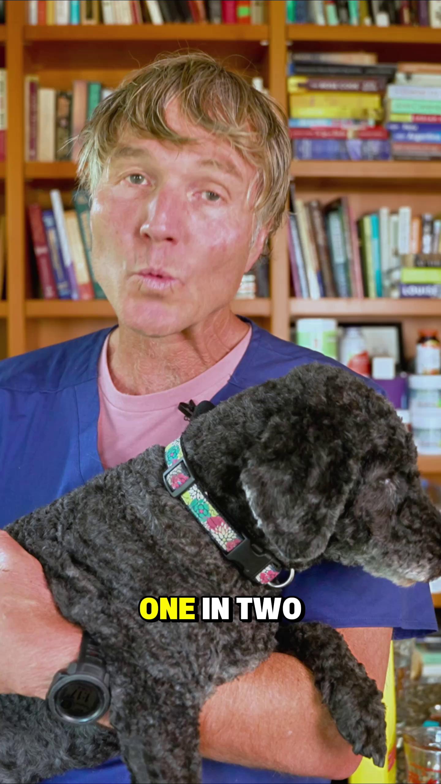 @Andrew Jones, DVM