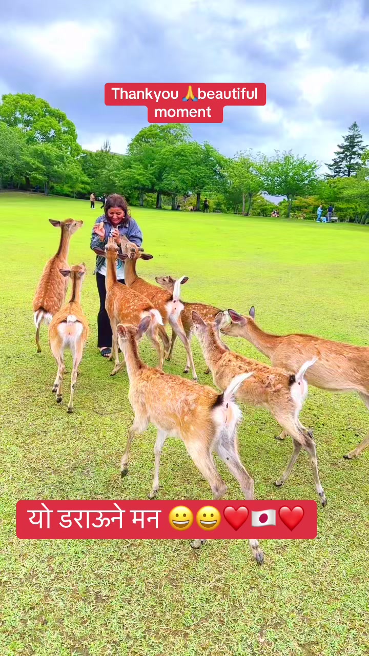 @幸せ❤️🇯🇵💍