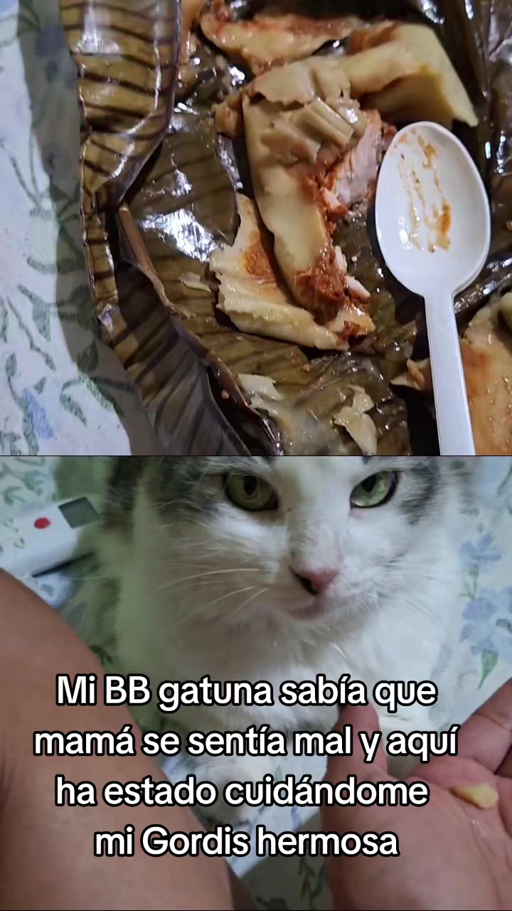 @Nel
