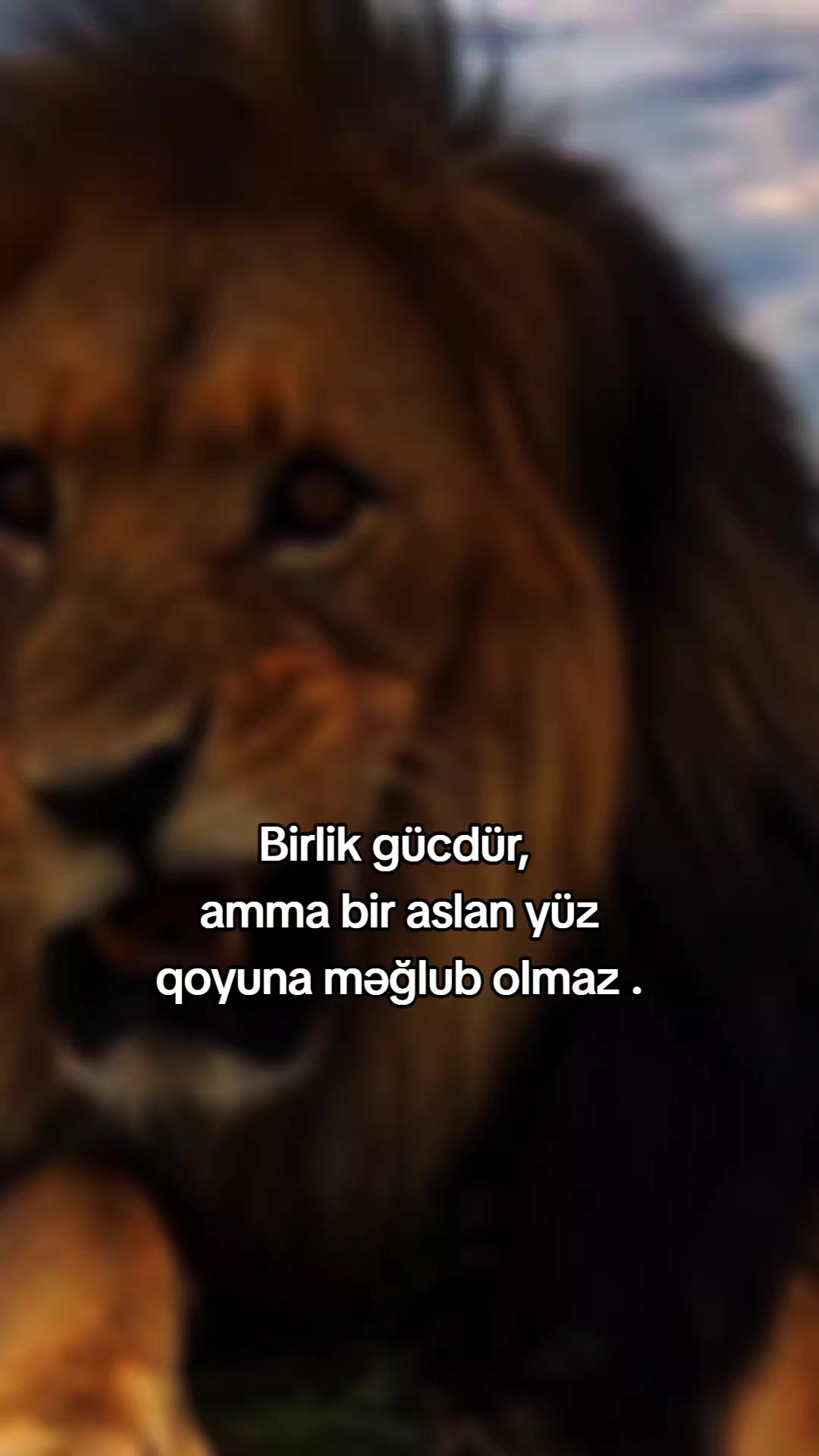 @𝗠𝗲𝗹𝗶𝗸𝗼𝘄𝘀 ⚡️