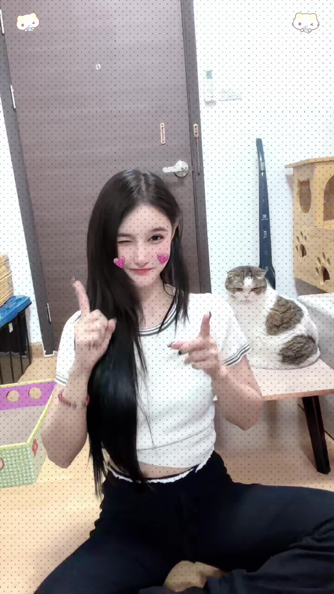 @Ramita 🐱