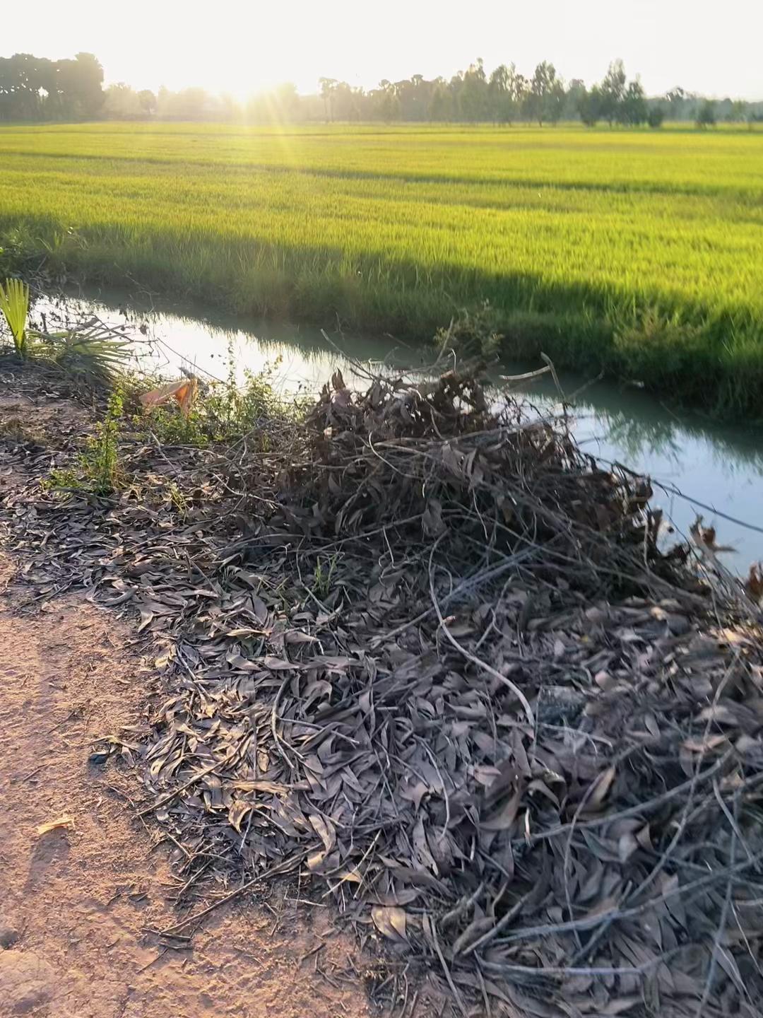 @Sak - សាក់ 👑🤍