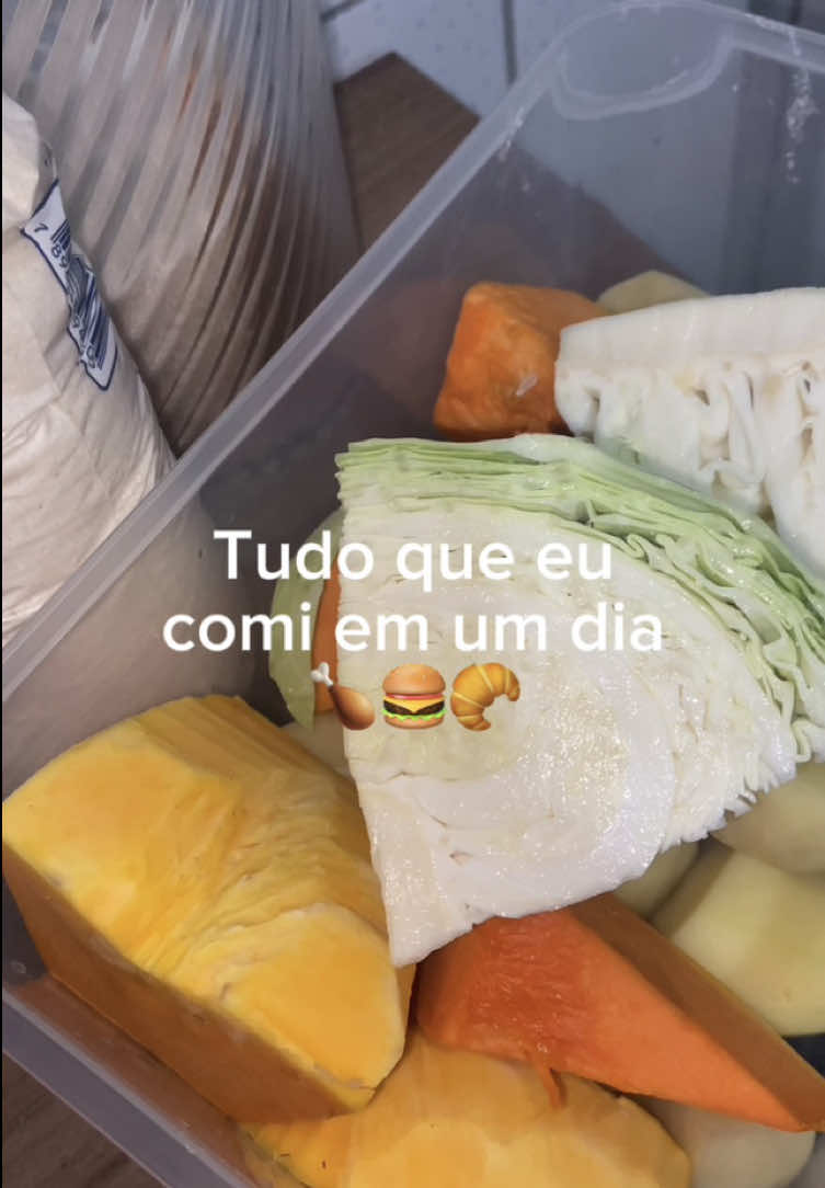 @micaelvlogs