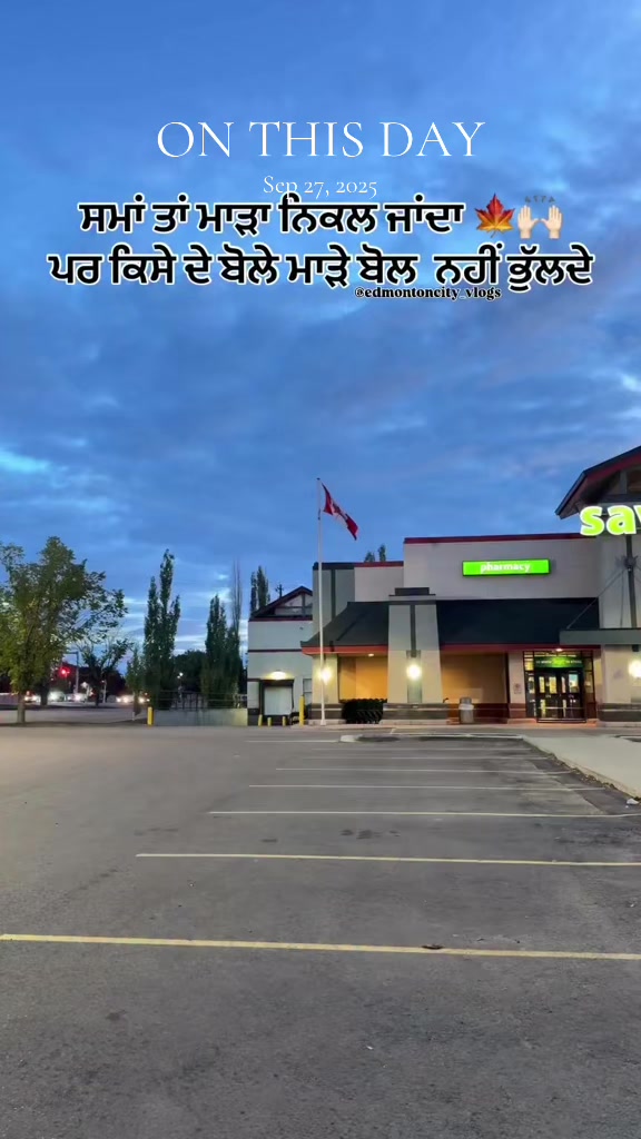 @vehlijanta761