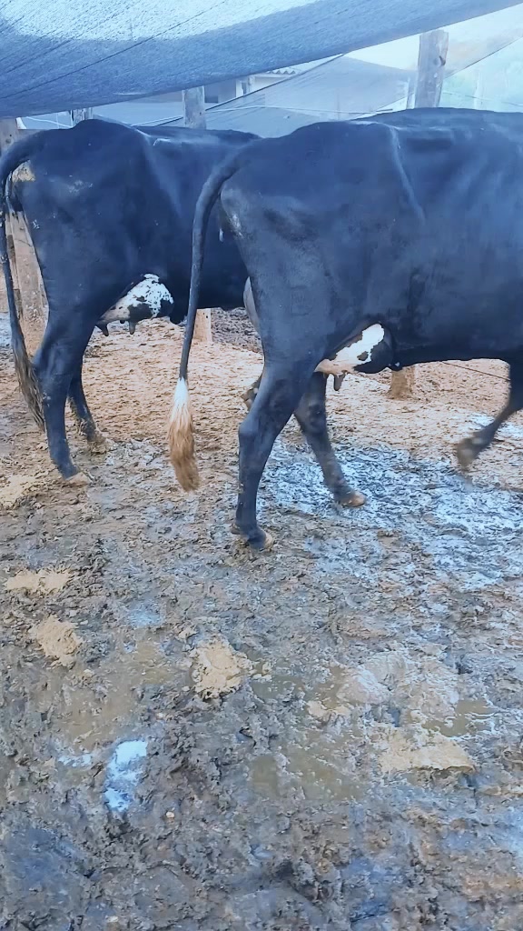 @Fazenda Santa Rosa