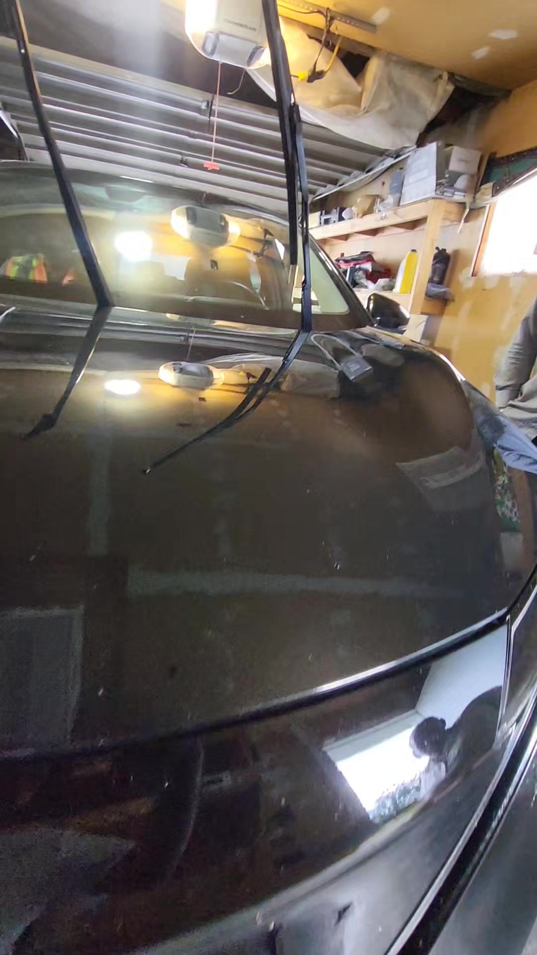 @windshield minister 5878978186
