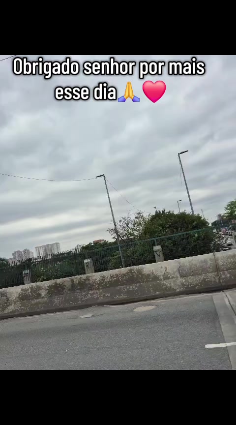 @Lilifeliz