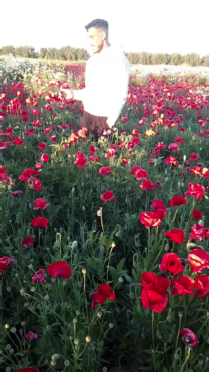 @abdo