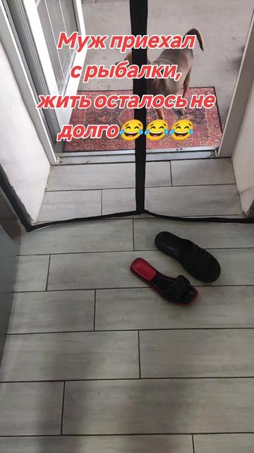 @nadezhda