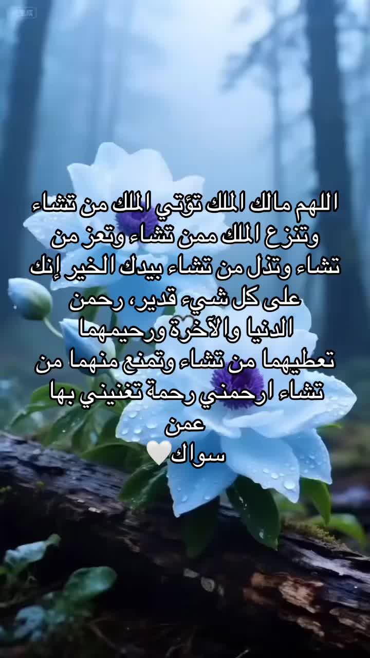 @عابرة الى الجنه ان شاء الله