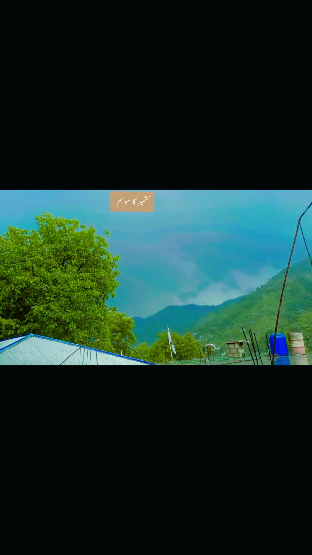 @⚜︎