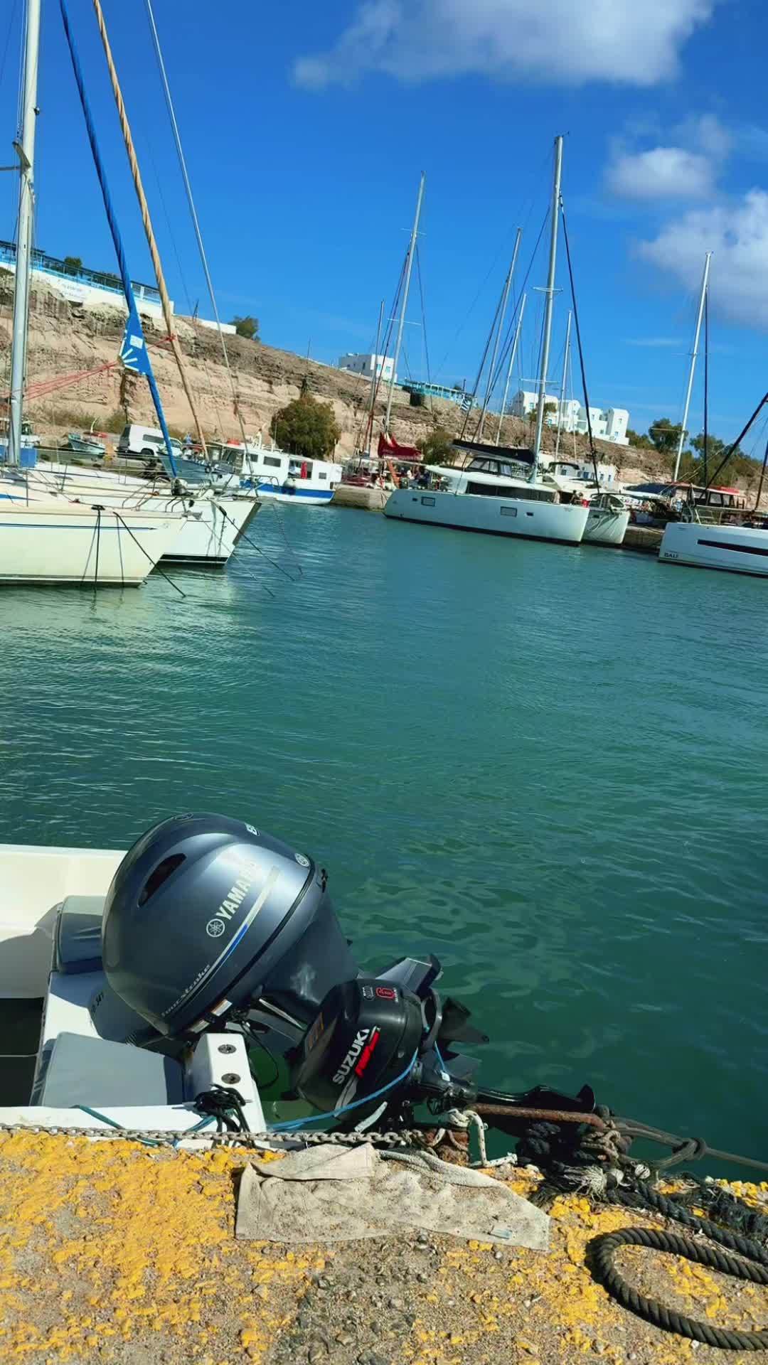 @𝒫𝒶𝑜𝓁𝒶פאולה 🐾✈️