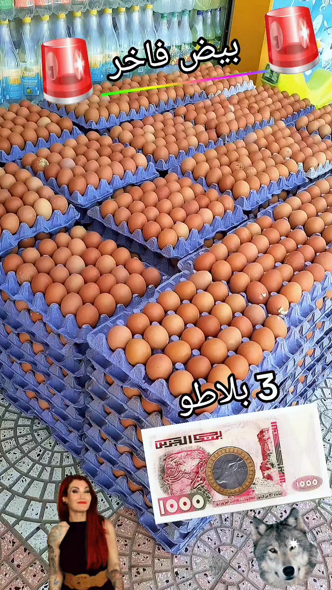 @📢 تخفيضات تلمسان 📢