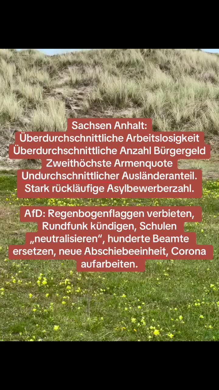 @Contra.AfD