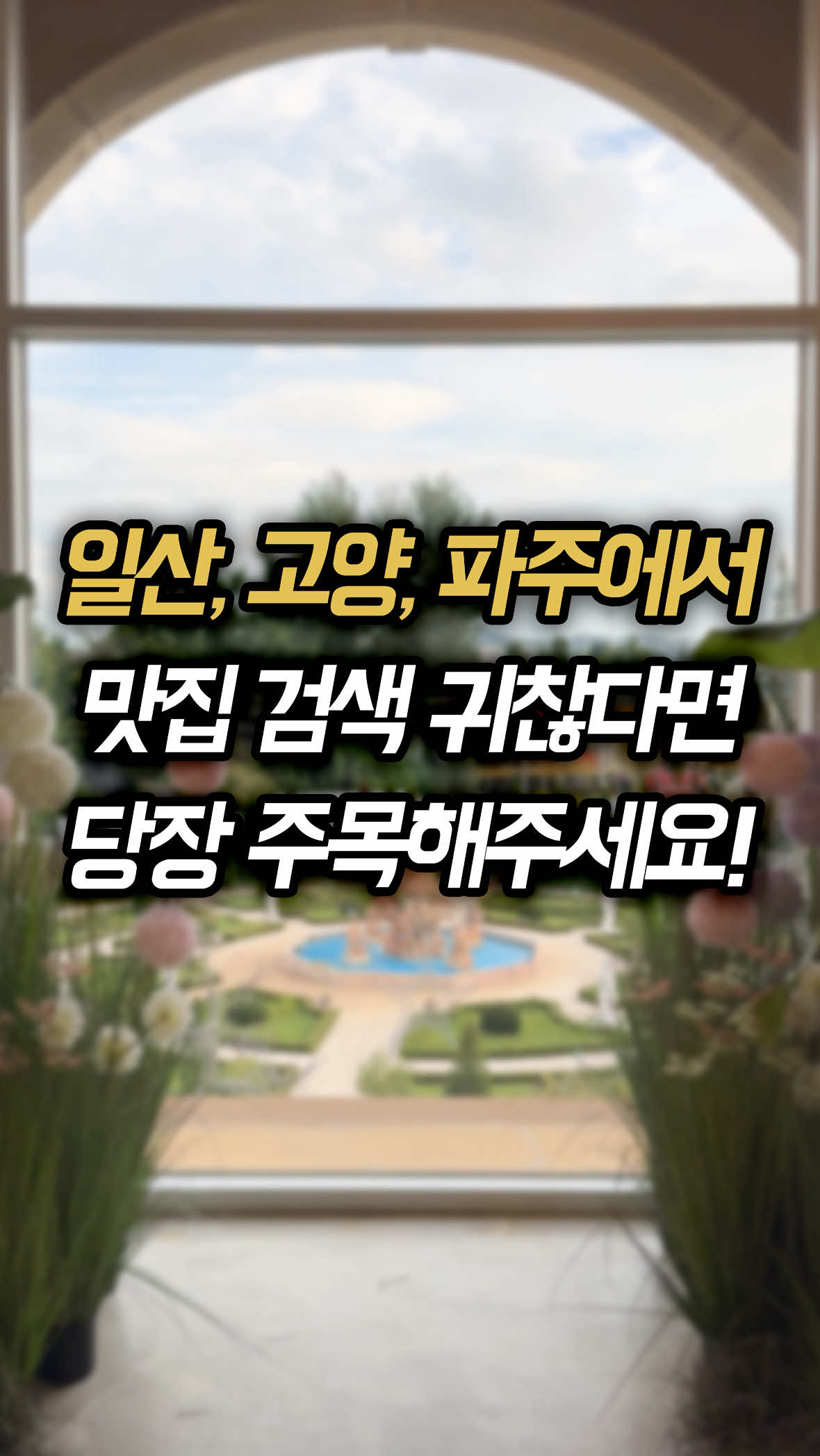 @일산갈고양