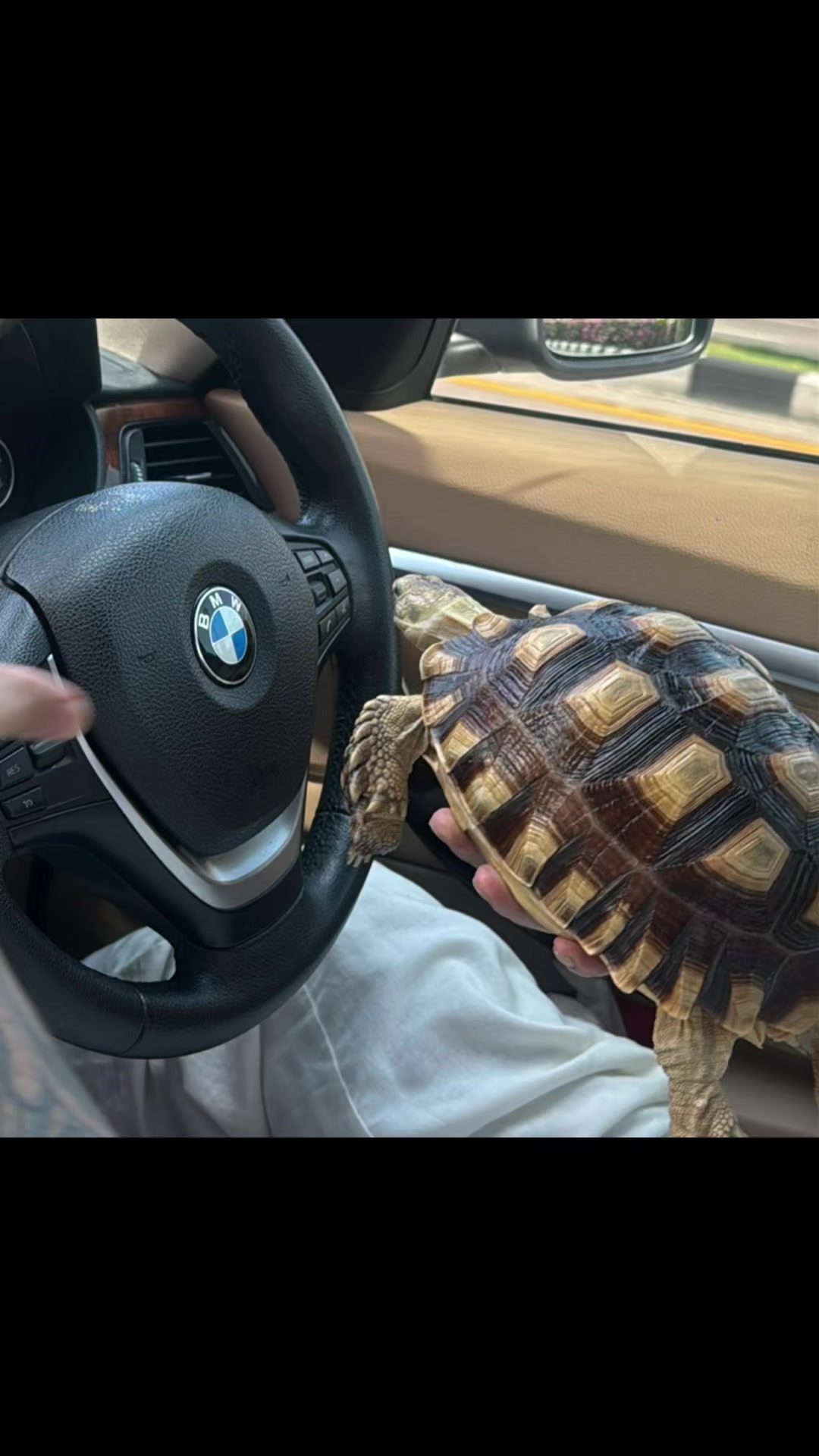 @อาเม่งจูที่แปลว่าหมาบีเกิ้ล🐶