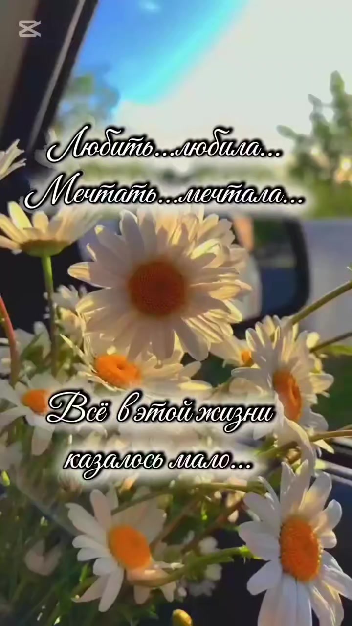 @Masha Orlowskaya