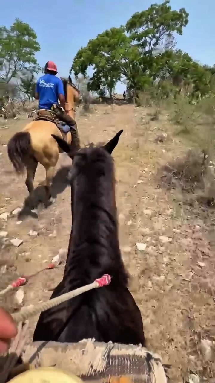 @Rancho Piedra Nube