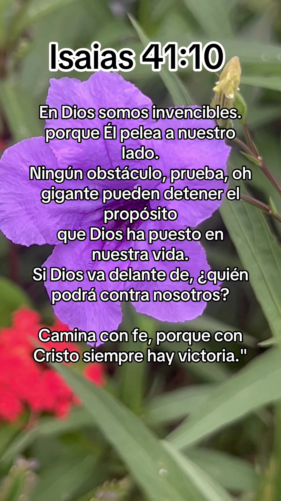 @🦋Yoli🌹