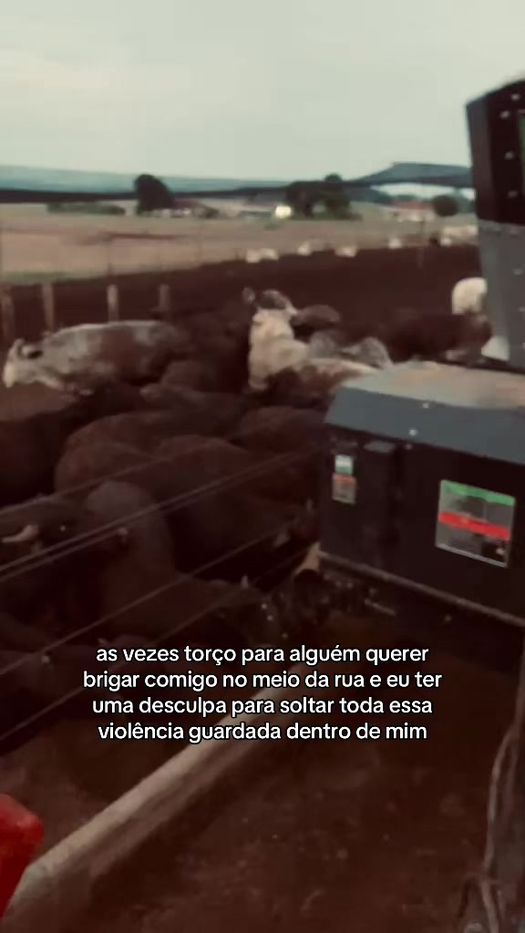 @ᗩᘉᗩ ᒍᑌ́ᒪIᗩ (reserva)