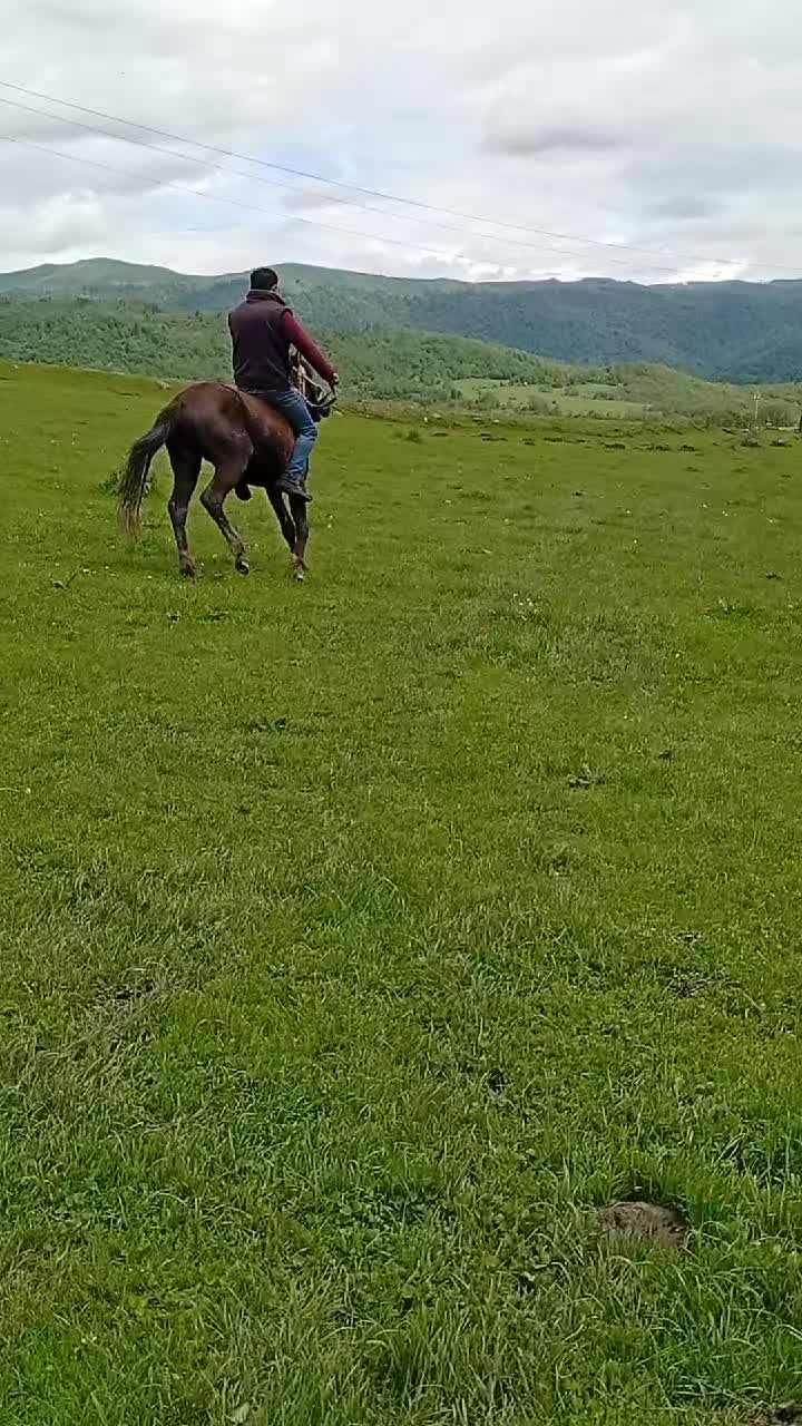 @Վաչե Գևորգյան