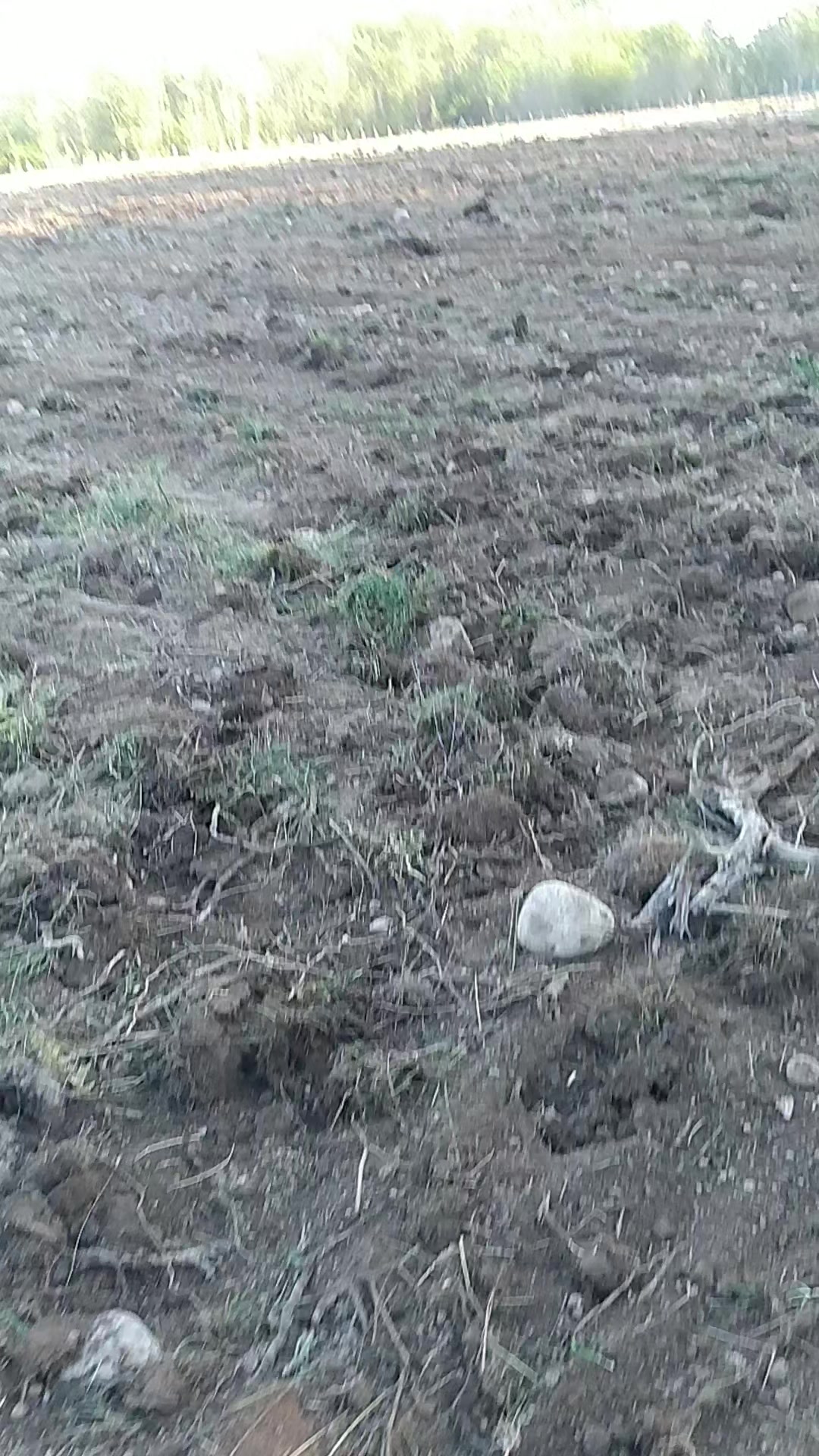 @a_r_m_e_n_123_523_23