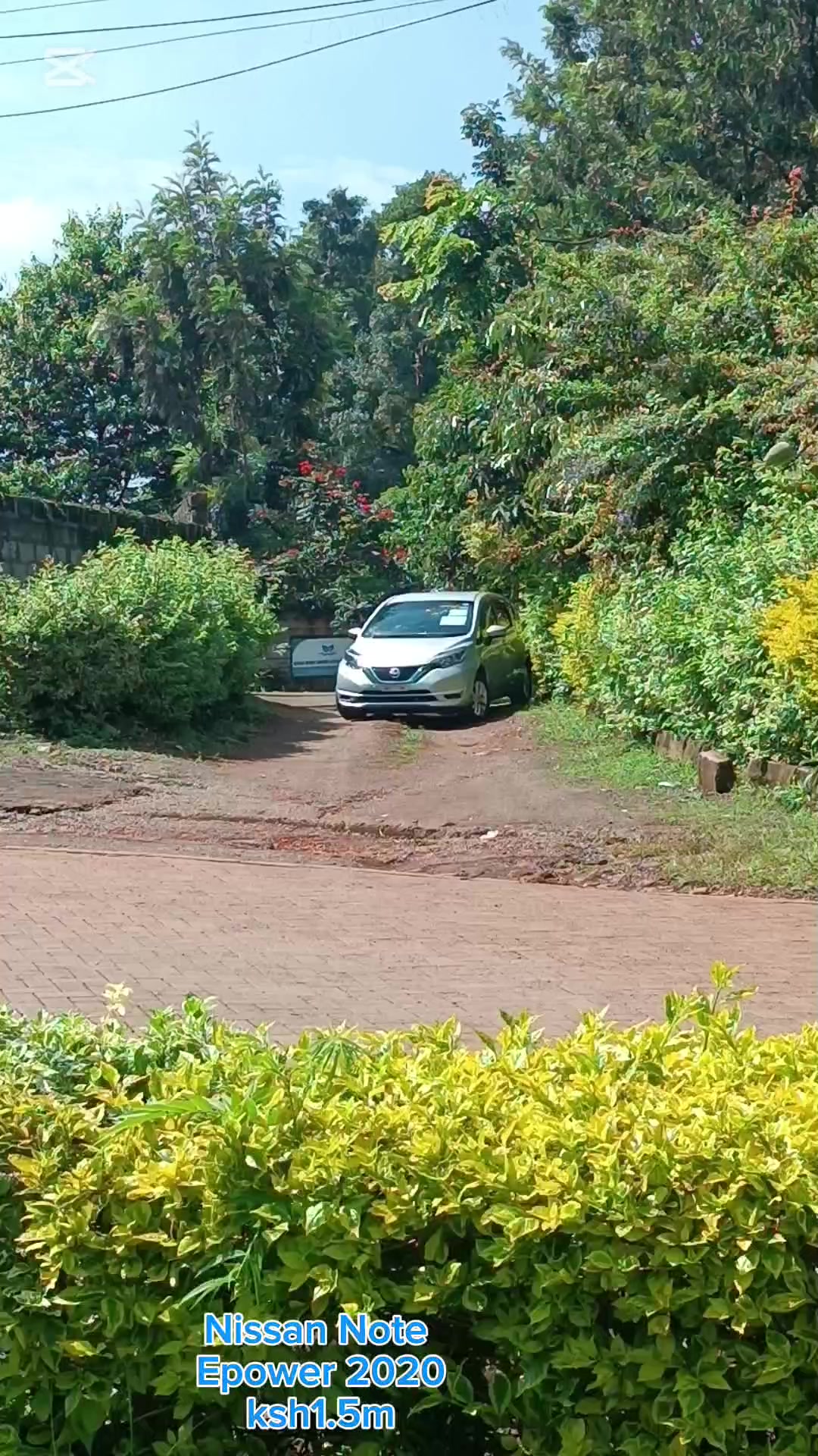 @JOLYD motors