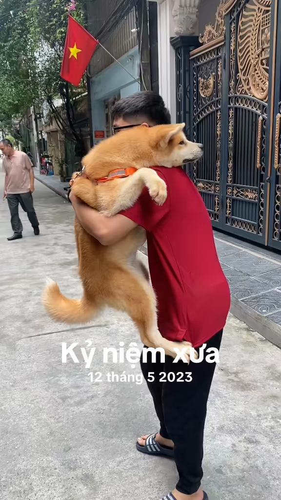 @PetHouse - Thế giới Pet