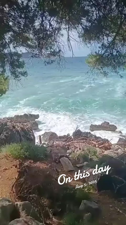 @đani